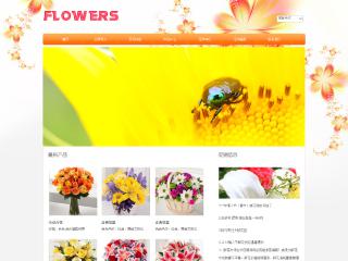 鲜花-flowers-5模板
