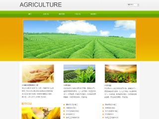 农业-agriculture-11模板
