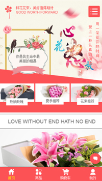 网店网站模板-weixin-9903