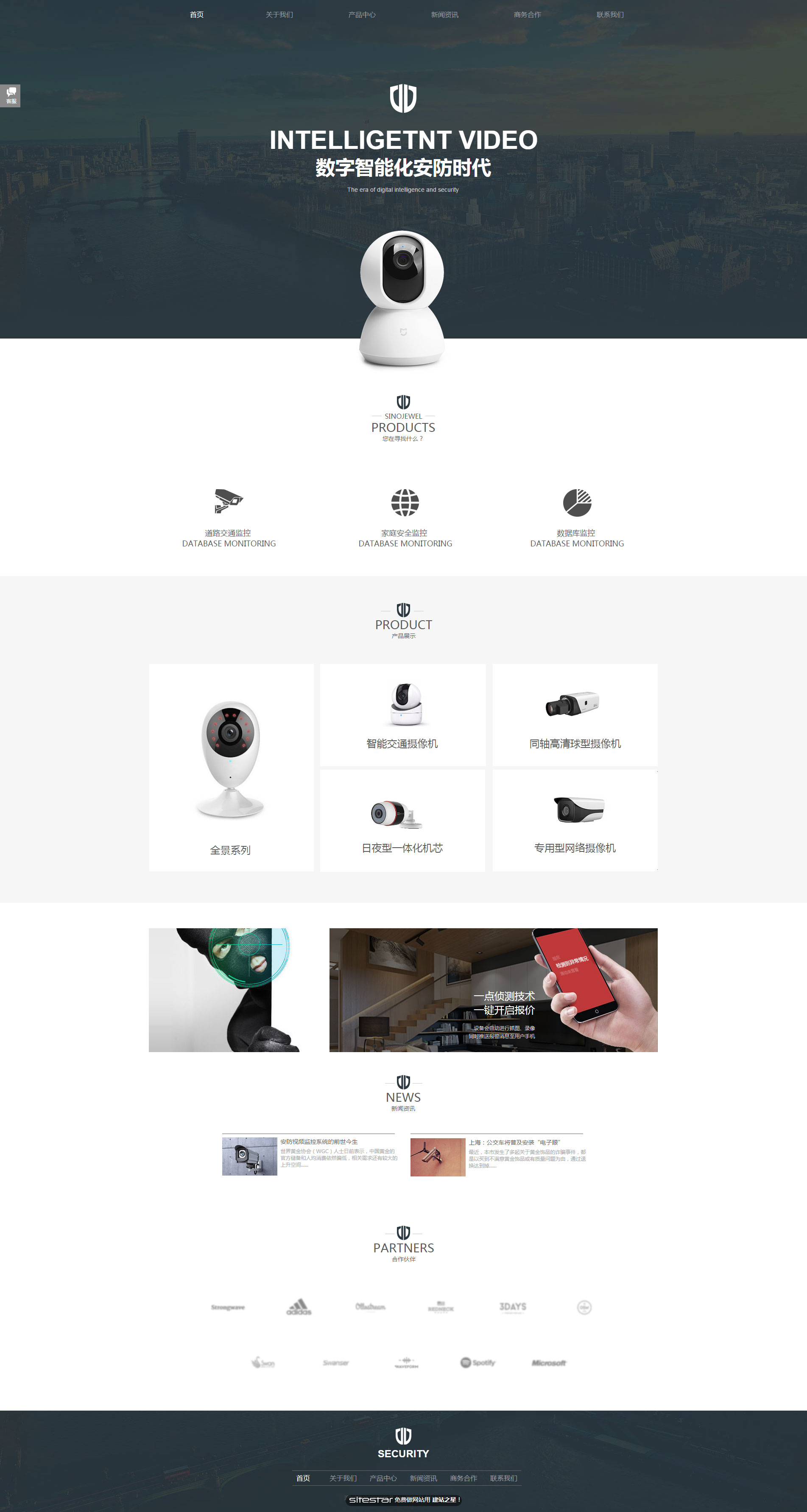安防、监控器材网站模板-security-300