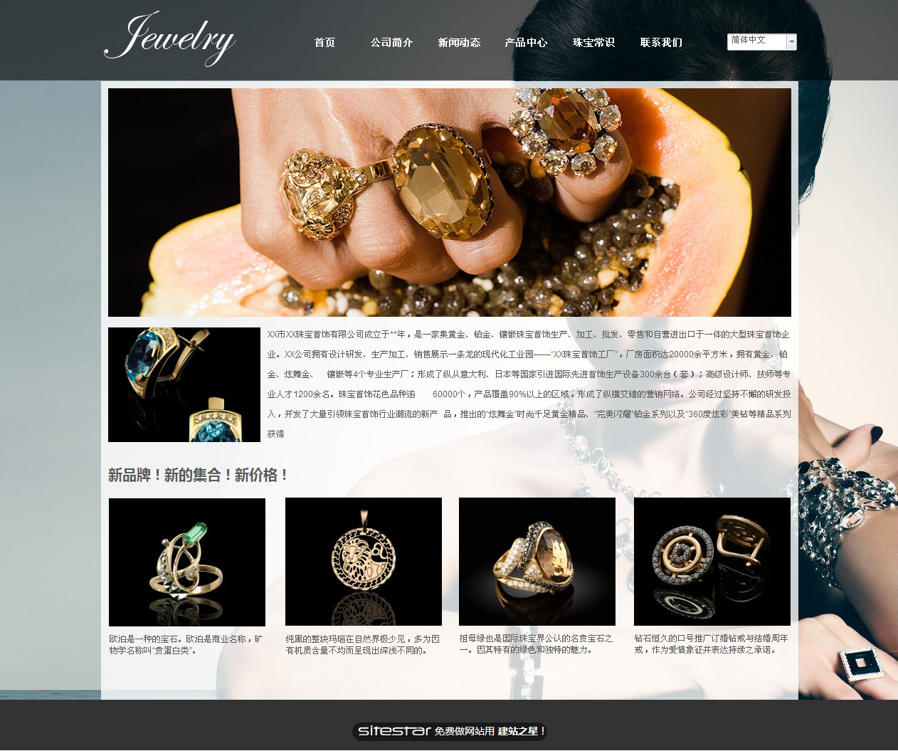 珠宝、首饰网站模板-jewelry-10