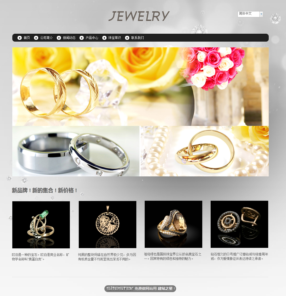 珠宝、首饰网站模板-jewelry-6