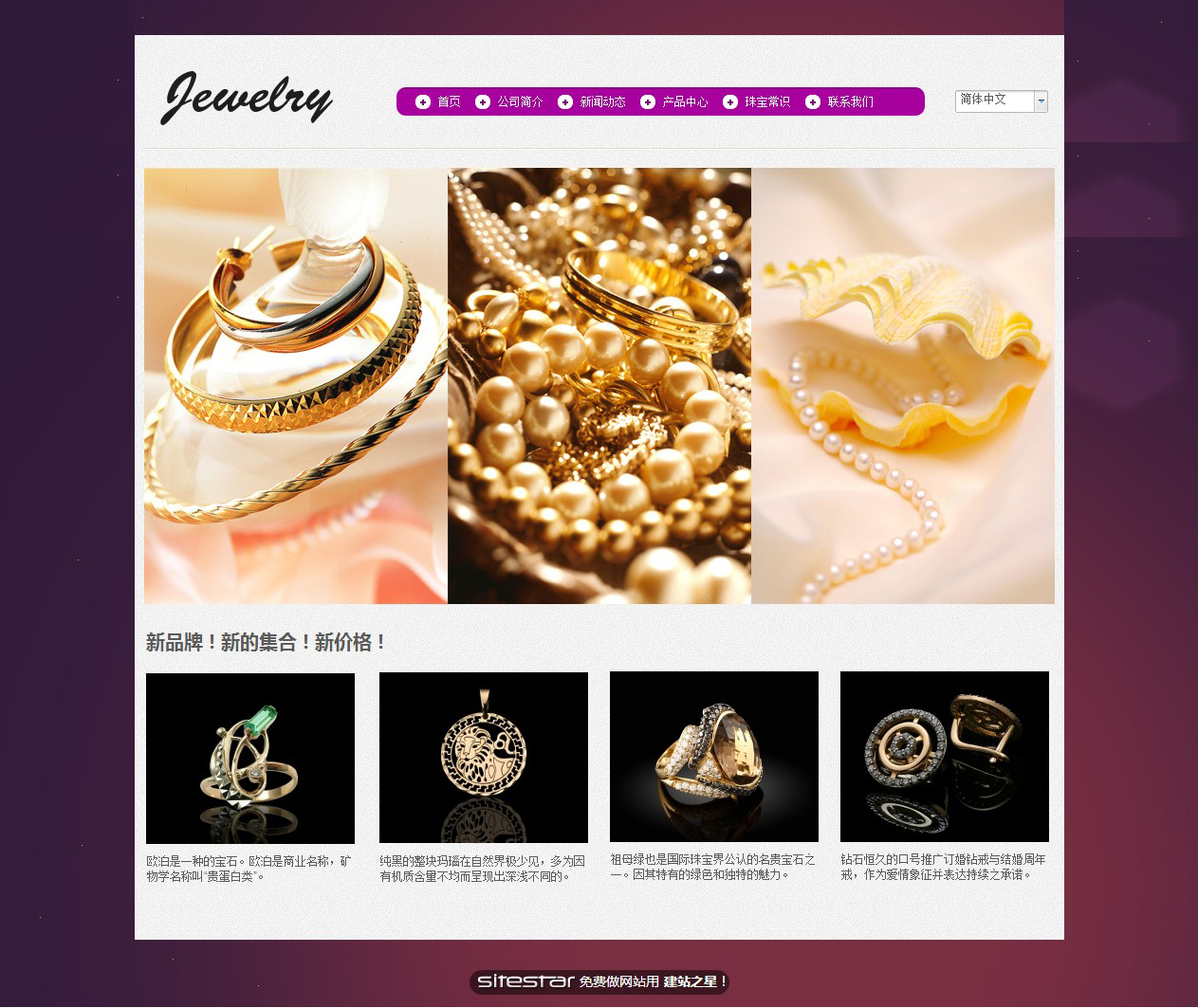 珠宝、首饰网站模板-jewelry-4