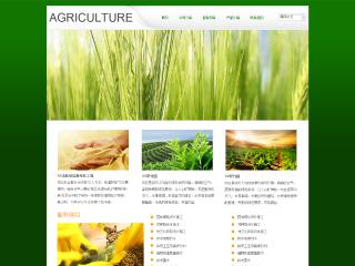 农业-agriculture-10模板