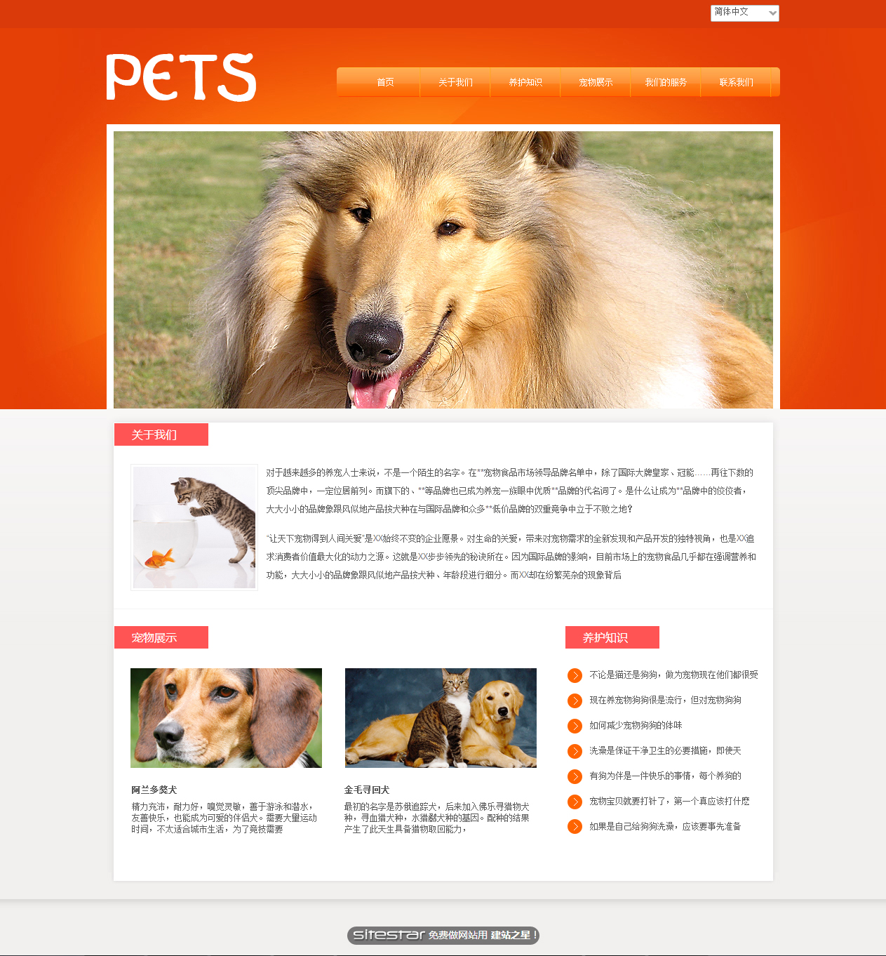 宠物网站模板-pets-1