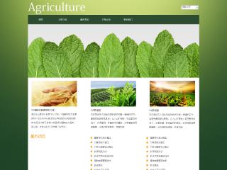 农业-agriculture-5模板
