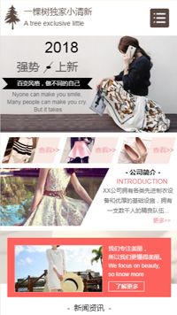 服装网站模板-weixin-5146