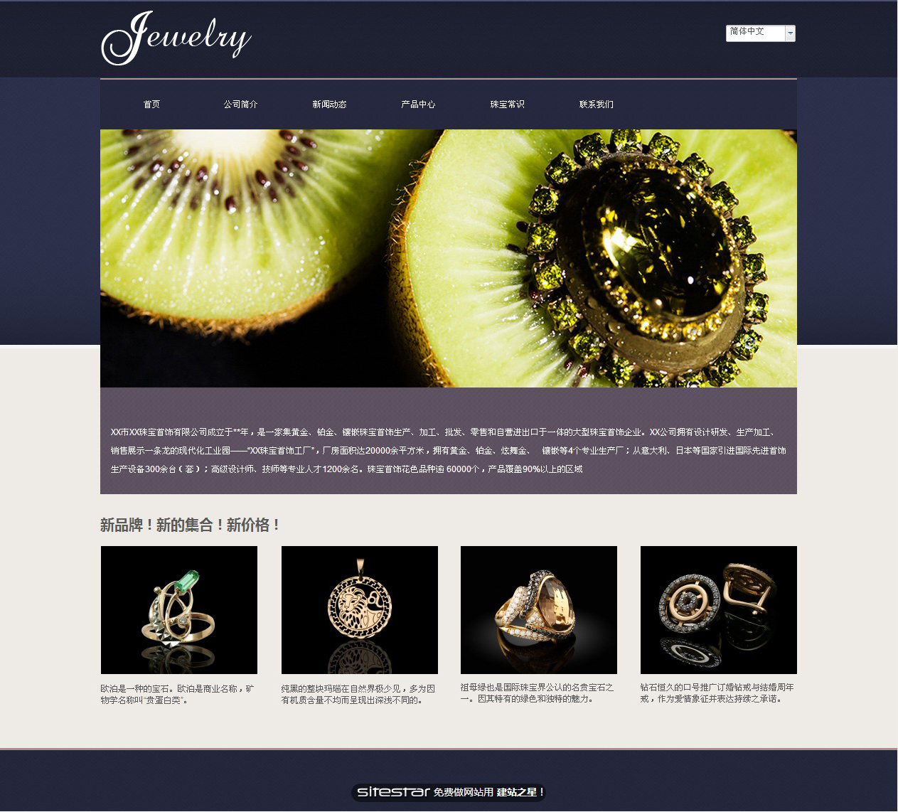 珠宝、首饰网站模板-jewelry-5