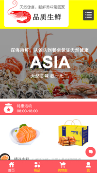 网店网站模板-weixin-9938