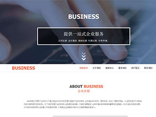 商业-business-120模板