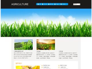 农业-agriculture-8模板