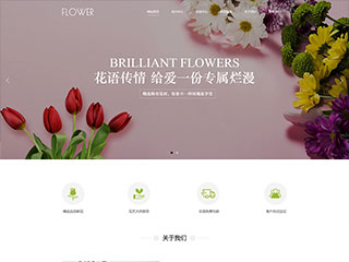 鲜花-flowers-268模板
