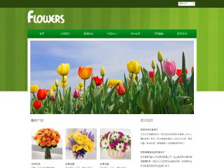鲜花-flowers-11模板