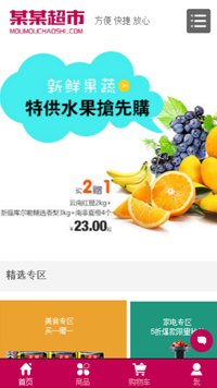 网店网站模板-weixin-9052